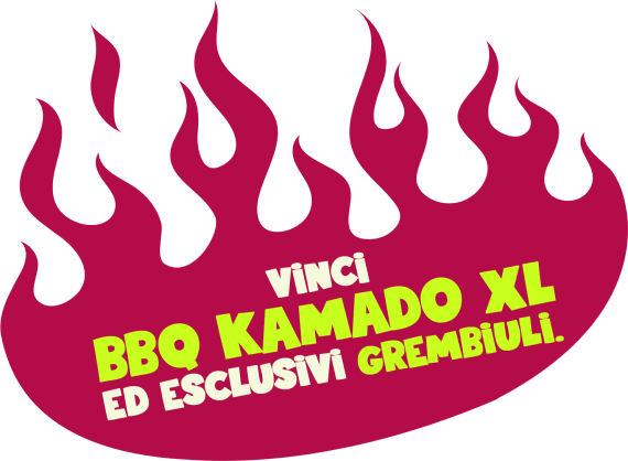 Vinci un BBQ Kamado XL